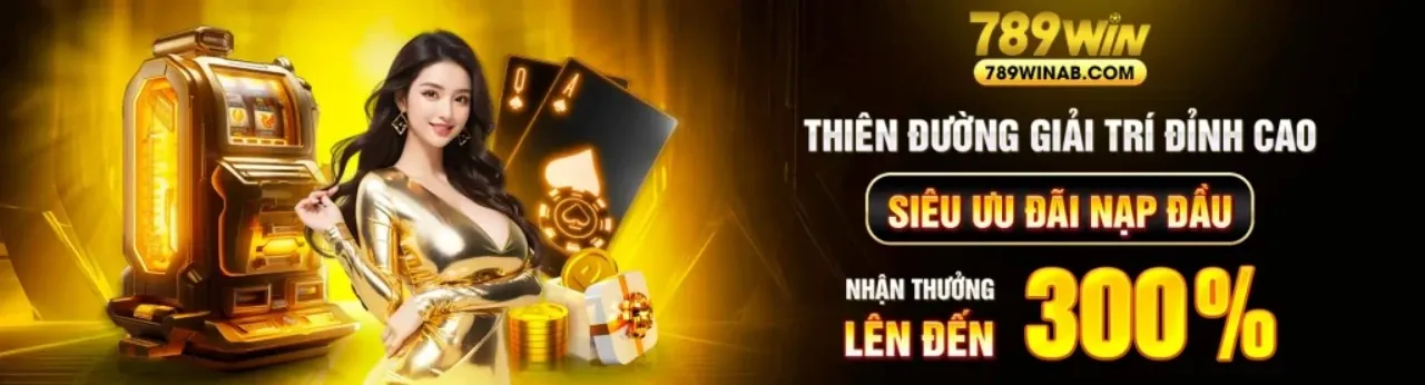 Hình ảnh Điều Khoản Dịch Vụ vn999 chính thức